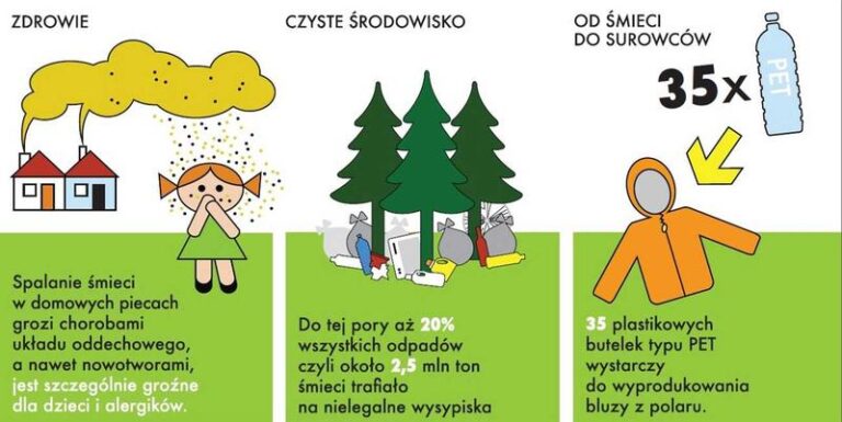 Fascynujące ciekawostki dla 4 latka, które zaskoczą każdego malucha!