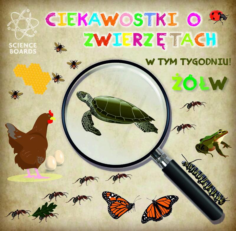 Ciekawostki przyrodnicze