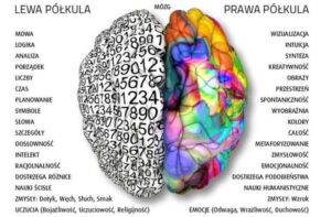 Zaskakujące ciekawostki o osobach leworęcznych, które musisz poznać
