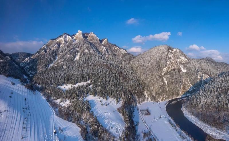 Przystosowania zwierząt do zimy