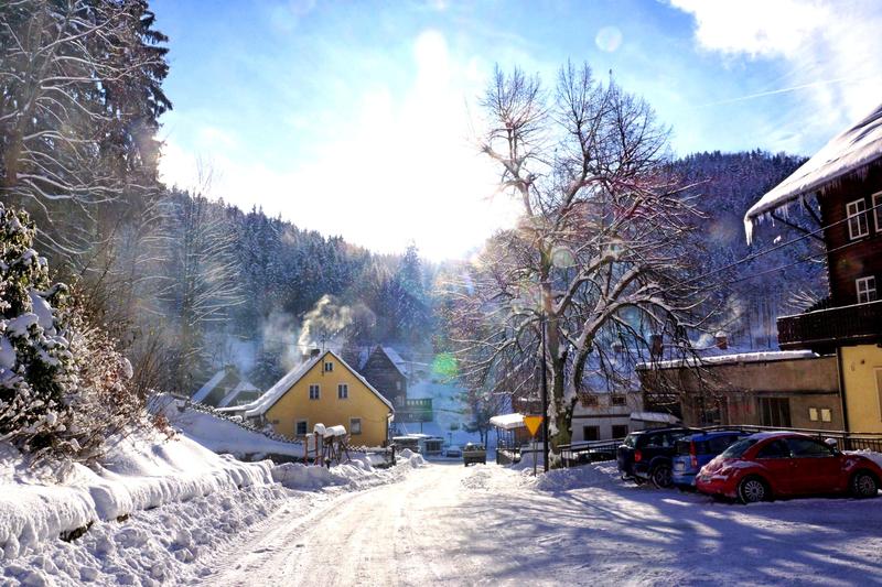 Zimowa fauna i hibernacja