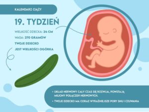 Ciekawe fakty o 19 tygodniu ciąży, które zaskoczą przyszłe mamy