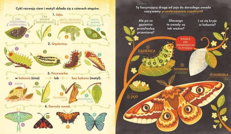 Fascynujące ciekawostki dla dzieci na 11 listopada