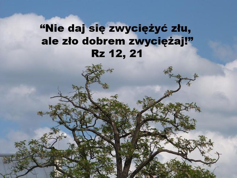 Ciekawostki związane z 7 marca