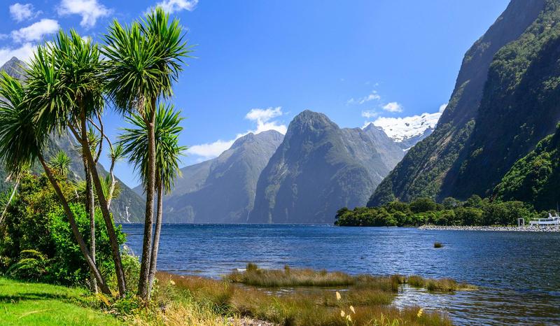 Flora i fauna Nowej Zelandii