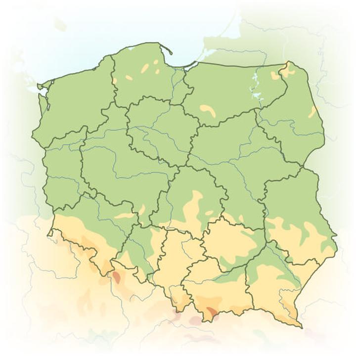 Kultura i tradycje Polaków