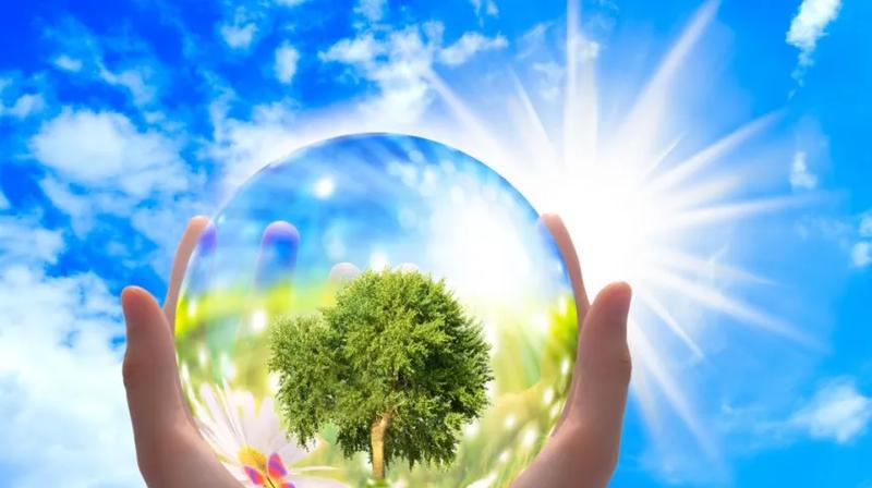 Tajemnice ekosystemów i nieznane gatunki