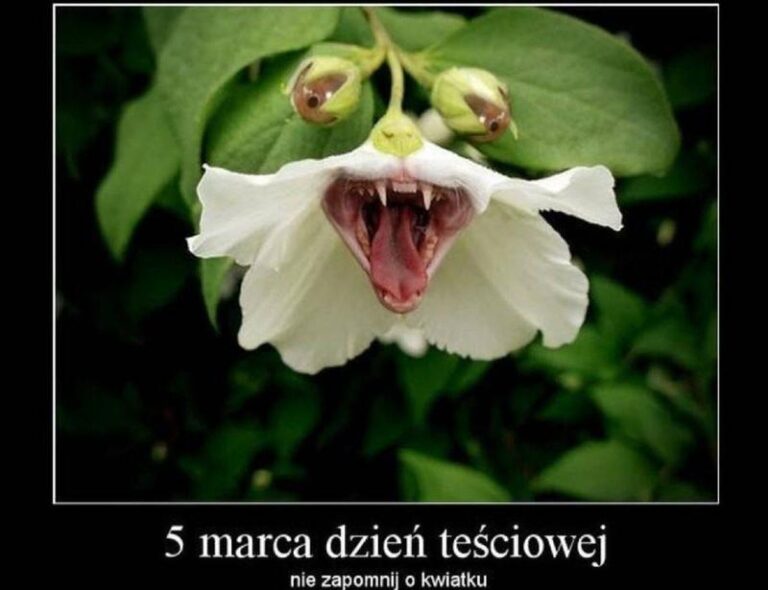 Ciekawostki związane z 5 marca, które z pewnością Cię zaskoczą