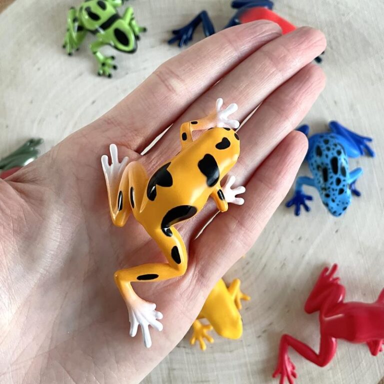 Zaskakujące fakty o żabach: odkryj fascynujący świat tych niezwykłych amfibiów