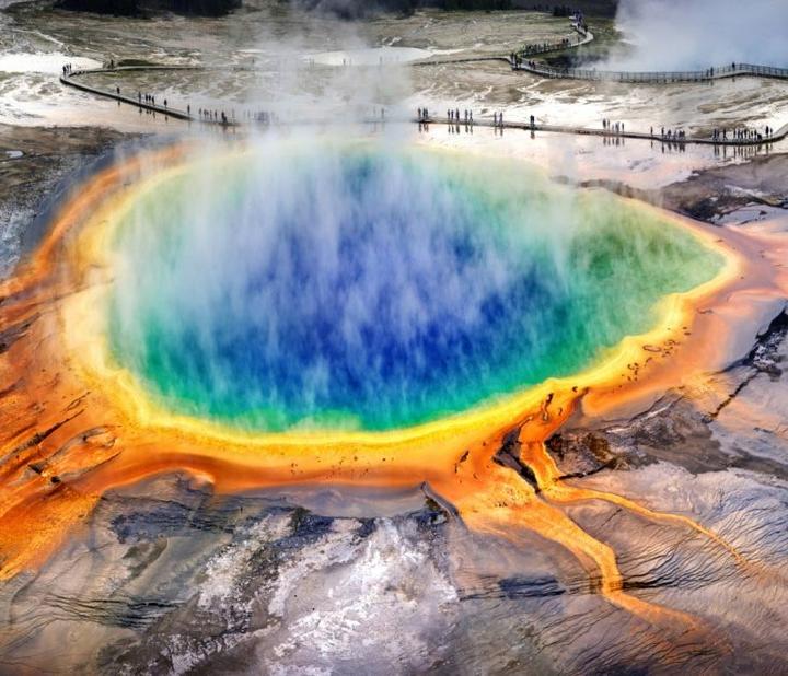 Bioróżnorodność i ekosystemy Yellowstone