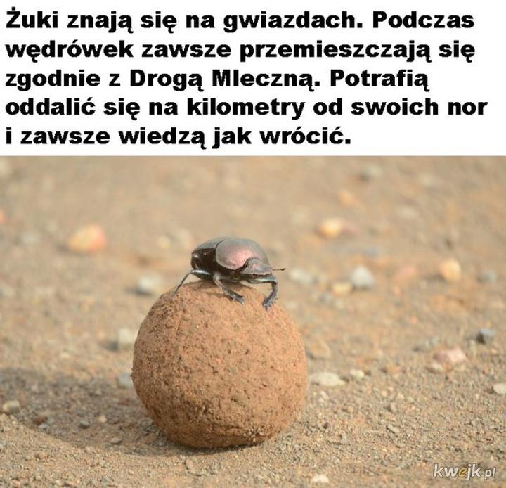Technologie przyszłości i innowacje