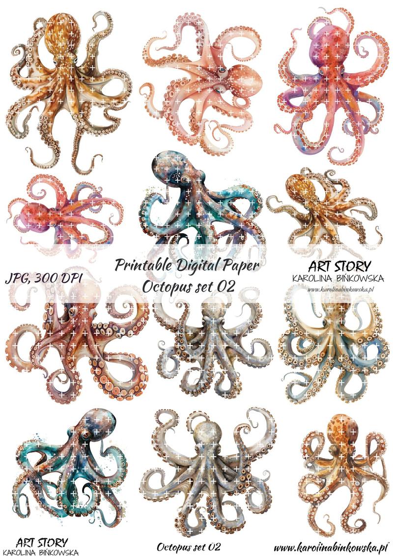 Ciekawostki o ośmiornicach