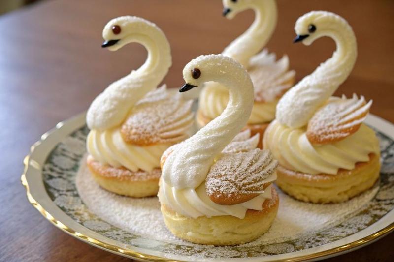 Symbolika łabędzi w kulturze i mitologii