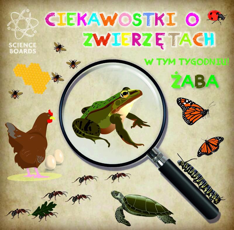 Zaskakujące ciekawostki