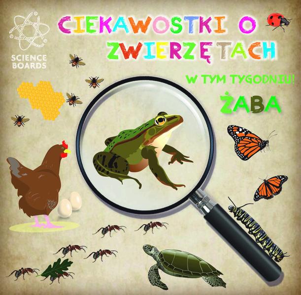 Ciekawostki o 60 sekundach