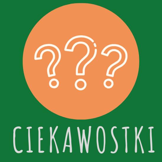 Efektywność paliwowa ciężarówek
