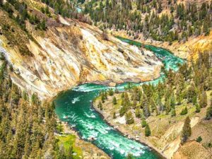 Zaskakujące ciekawostki z serialu Yellowstone, które musisz poznać