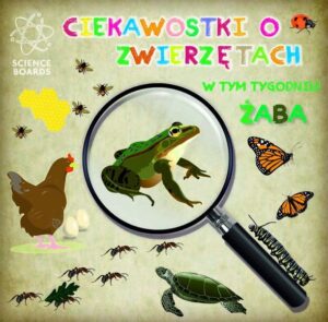 7 czerwca - fascynujące ciekawostki, które zaskoczą każdego