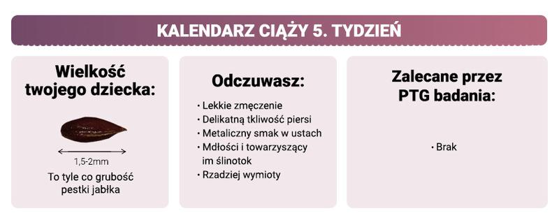 Ciąża 5 tydzień