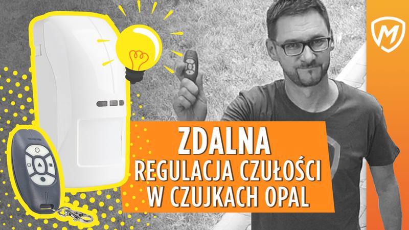 Krzyżówki jako rozwijanie umysłu
