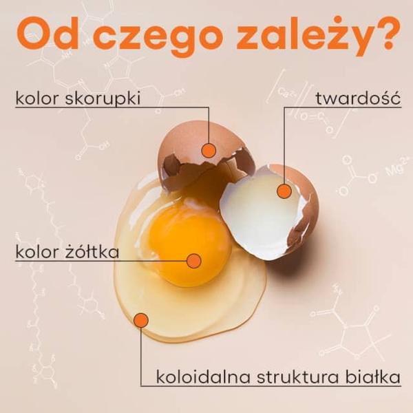 Kwasy i zasady