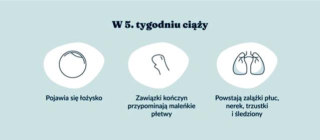 Zalecenia dietetyczne w ciąży