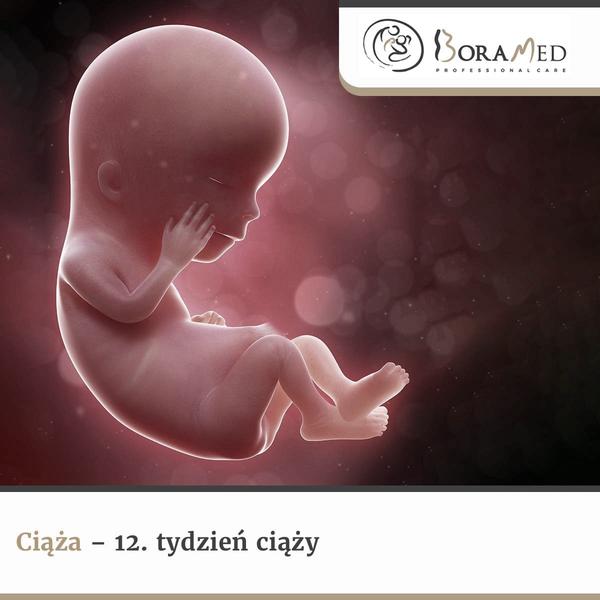 8 tydzień ciąży