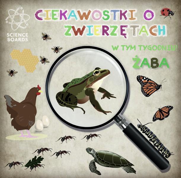 Ciekawostki o zwierzętach