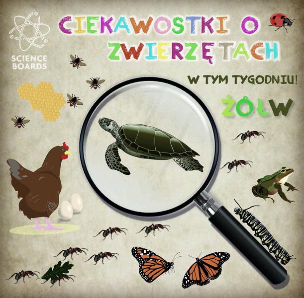 Rewolucyjne wydarzenia 9 października