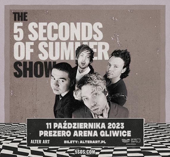 Sukcesy albumów 5SOS