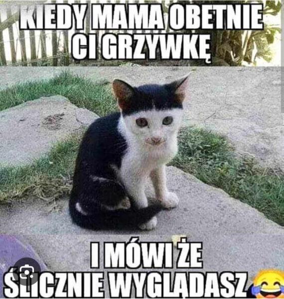 Zabytkowe prawo
