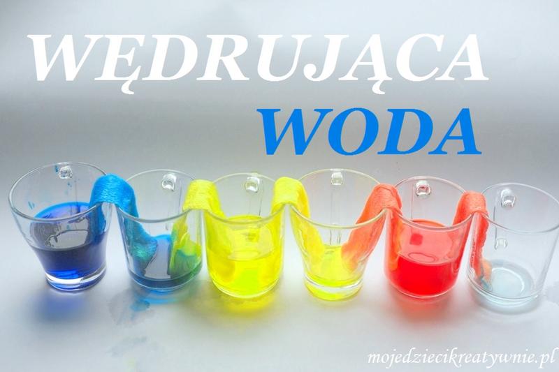 Ciekawostki dla dzieci