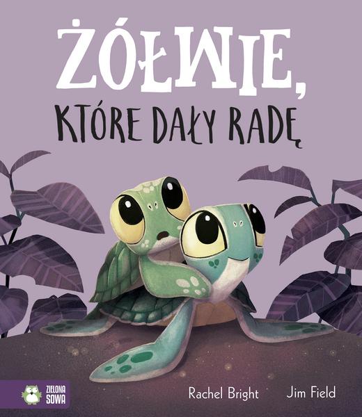 Ciekawostki o żółwiach
