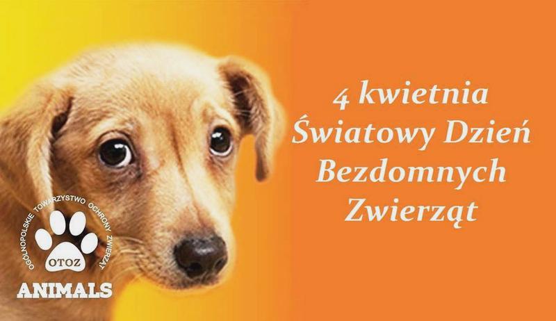 Ciekawostki z 4 kwietnia