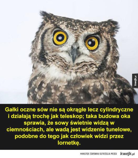 Dziwne zjawiska