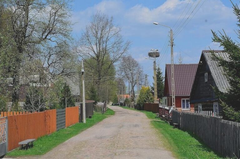 Ciekawostki 2026, które zaskakują: fakty z nauki, historii i świata