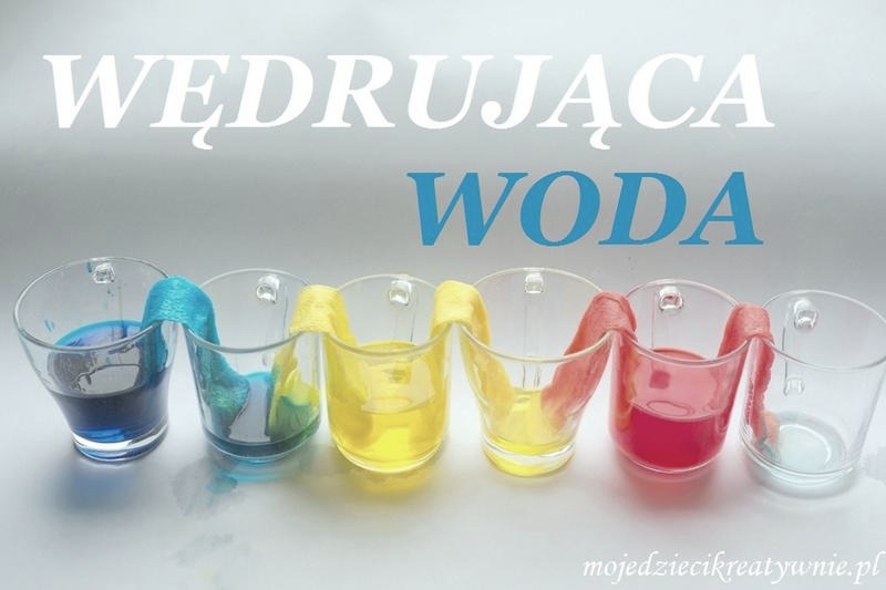 Ciekawostki naukowe, które wyjaśniają codzienne zagadki