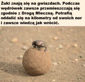 Informacje i ciekawostki ze świata, nauki i historii